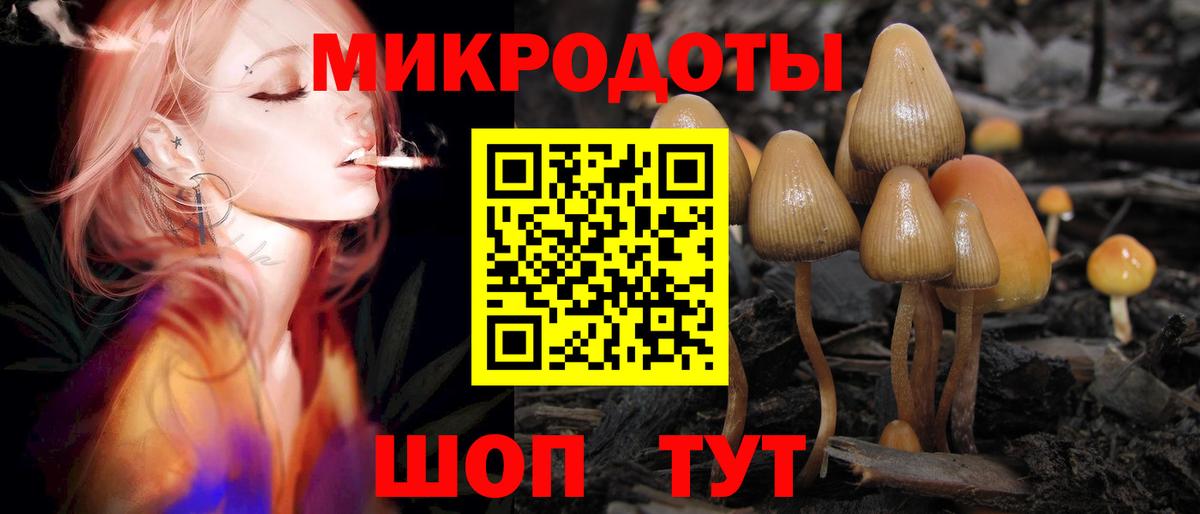 Псилоцибиновые грибы GOLDEN TEACHER Саратов