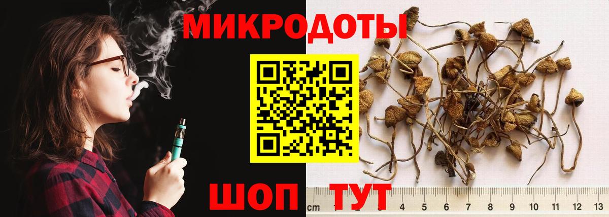наркошоп  Вход с VPN  Псилоцибиновые грибы Psilocybine cubensis  Саратов  Псилоцибиновые грибы мицелий 